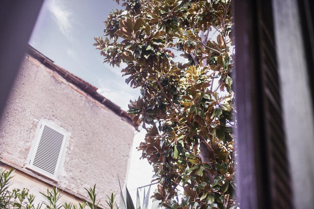 Trasteverehome - Peretti Roma